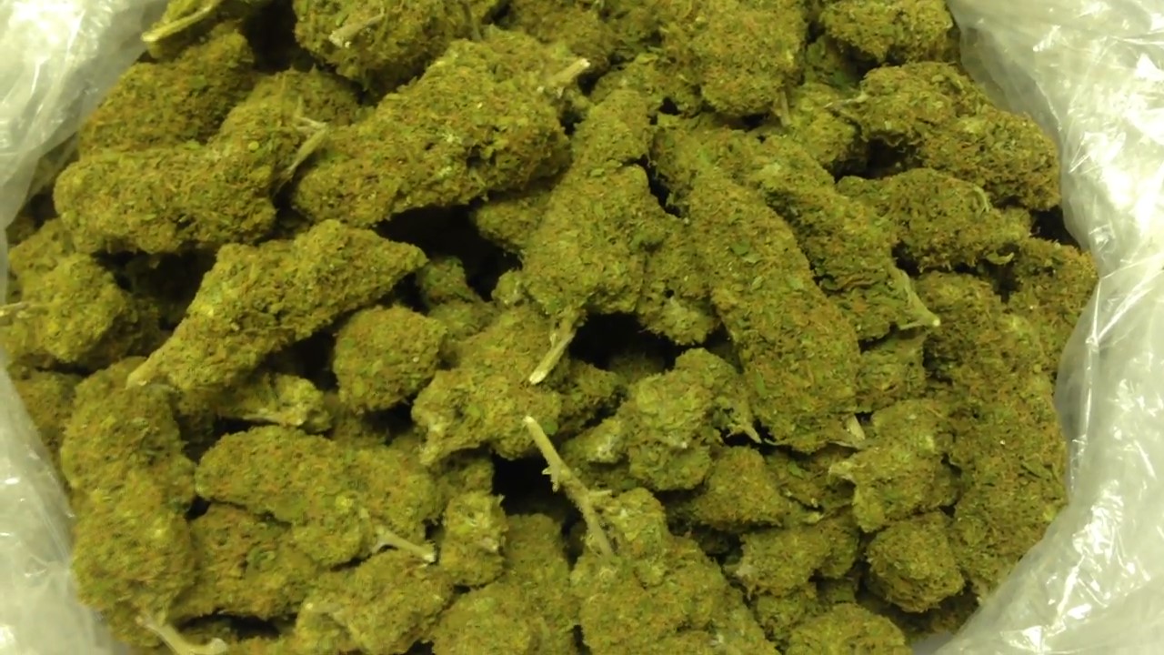 Quantum Kush
