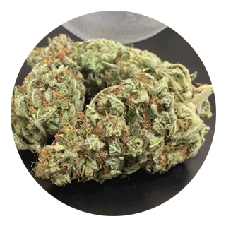 Jack-Herer