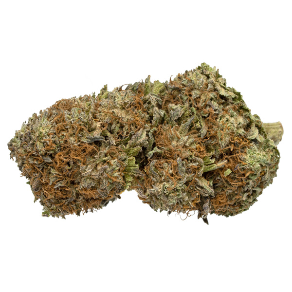Grand-Daddy-Purple-3
